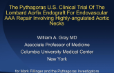 Final Results from the Lombard Pythagoras Study for Angled Neck Abdominal Aneurysms