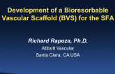 Development of a Bioabsorbable Scaffold for the SFA