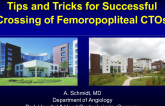 Tips and Tricks for Successful Crossing of Femoropopliteal CTOs
