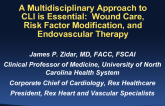 A Multidisciplinary Approach to CLI Is Essential: Wound Care, Risk Factor Modification, and Endovascular Therapy