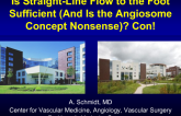 Debate II. Is Straight-Line Flow to the Foot Sufficient (And Is the Angiosome Concept Nonsense)? Con!