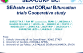 Long-Term Results of Bifurcation Stenting with Everolimus-eluting vs. Sirolimus-eluting Stents: The SEA-CORP BC Trials