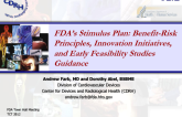 FDA's Stimulus Plan: Benefit-Risk Principles, Innovation Initiatives, and Early Feasibility Studies Guidance