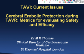 Cerebral Embolic Protection during TAVR: Metrics for Evaluating Safety and Efficacy