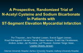 A Prospective, Randomized Trial of N-Acetyl Cysteine and Sodium Bicarbonate in Patients with ST-Segment Elevation Myocardial Infarction