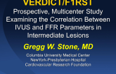 VERDICT/FIRST: Prospective, Multicenter Study Examining the Correlation between IVUS and FFR Parameters in Intermediate Lesions