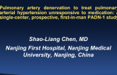 PADN-1: Pulmonary Artery Denervation for the Treatment of Refractory Pulmonary Hypertension