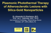 Plasmonic Photothermal Therapy of Atherosclerotic Lesions with Silica-Gold Nanoparticles