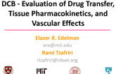 Preclinical Review: Experimental Pathways for Evaluation of Drug Transfer, Tissue Pharmacokinetics, and Vascular Effects