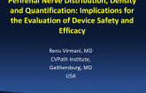 Preclinical Review: Perirenal Nerve Distribution, Density, and Quantification: Implications for the Evaluation of Device Safety and Efficacy