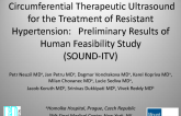 TCT-356: Circumferential Therapeutic Ultrasound for the Treatment of Resistant Hypertension: Preliminary Results of Human Feasibility Study (SOUND-ITV)