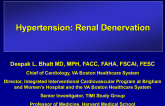 Hypertension: Renal Denervation