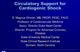 Circulatory Support for Cardiogenic Shock