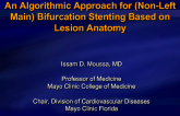 An Algorithmic Approach for (Non-Left Main) Bifurcation Stenting Based on Lesion Anatomy