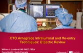 CTO Antegrade Intraluminal and Reentry Techniques: Didactic Review