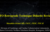 CTO Retrograde Techniques: Didactic Review