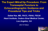 The Expert MitraClip Procedure: From Transseptal Puncture to Echocardiographic Guidance and Procedural Tips and Tricks