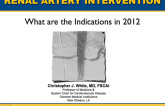 Renal Artery Stenting: What Are the Indications for Intervention in 2012?