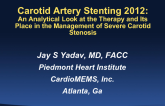 Carotid Artery Stenting 2012: An Analytical Look at the Therapy and Its Place in the Management of Severe Carotid Stenosis