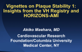 Vignettes on Plaque Stability 1: Insights from the VH Registry and HORIZONS-AMI