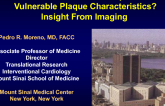 Do Statins and Other Therapies Alter Vulnerable Plaque Characteristics? Insights from Imaging