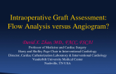 Intraoperative Graft Assessment: Flow Analysis vs. Angiogram?
