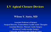 LV Apical Closure Devices