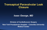 Transapical Closure of Paravalvular Leaks