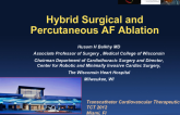 Hybrid Surgical and Percutaneous AF Ablation