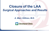 Closure of the Left Atrial Appendage: Surgical Approaches and Results