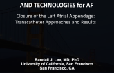 Closure of the Left Atrial Appendage:  Transcatheter Approaches and Results
