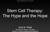Stem Cell Therapy: The Hype and the Hope