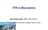 Case 1: FFR in Bifurcations