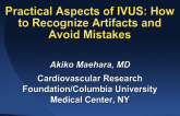 Practical Aspects of IVUS: How to Recognize Artifacts and Avoid Mistakes