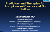 Predictors and Therapies for Abrupt Vessel Closure and No Reflow
