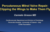 Percutaneous Mitral Valve Repair: Clipping the Wings to Make Them Fly