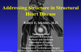 Overview: Addressing Structure in Structural Heart Disease