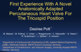 TCT-110: First Experience with a Novel Anatomically Adapted Percutaneous Heart Valve for the Tricuspid Position