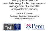 Emerging Applications of Nanotechnology for the Diagnosis and Management of Vulnerable Atherosclerotic Plaque