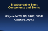 Bioabsorbable Stent Components and Stents
