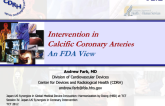 Intervention in Calcific Coronary Arteries: A PMDA View
