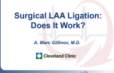 Various Techniques for Surgical LAA Closure (With and Without Thoracoscopy): Acute and Long-term Outcomes
