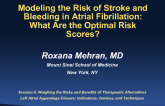 Modeling the Risk of Stroke and Bleeding in Atrial Fibrillation: What Are the Optimal Risk Scores?