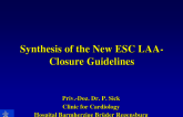 Synthesis of the New ESC LAA Closure Guidelines
