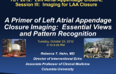 A Primer of LAA Closure Imaging: Essential Views and Pattern Recognition