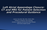 CT and MRI for Patient Selection and Procedural Guidance
