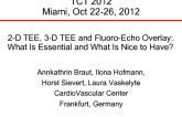 2-D TEE, 3-D TEE, and Fluoro-Echo Overlay: What Is Essential and What Is Nice to Have?