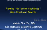 Planned Two-Stent Technique Cases 7 and 8: Mini-Crush and Culotte