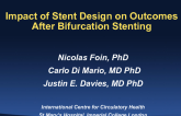 Impact of Stent Design on Outcomes After Bifurcation Stenting