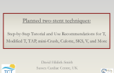 Planned Two-Stent Techniques: Step-by-Step Tutorial and Use Recommendations for T, Modified T, TAP, Mini-Crush, Culotte, SKS, V, and More